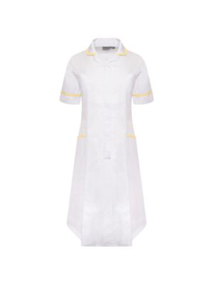 Ladies Dress Thumbnail