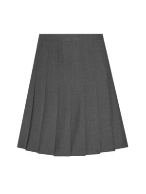 David Luke Stitched Down Knife Pleat Skirt Badged Thumbnail