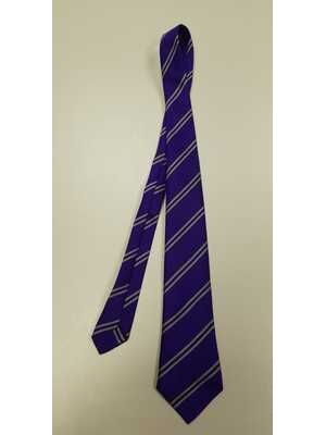 Birchwood C of E Tie Thumbnail