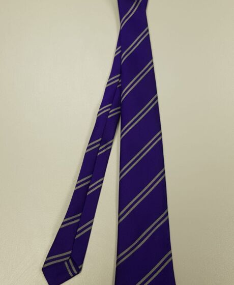 Birchwood C of E Tie Thumbnail